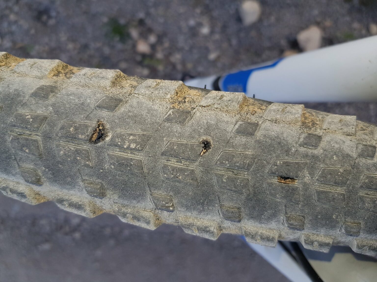 Ulysses bike - cubierta reparada
